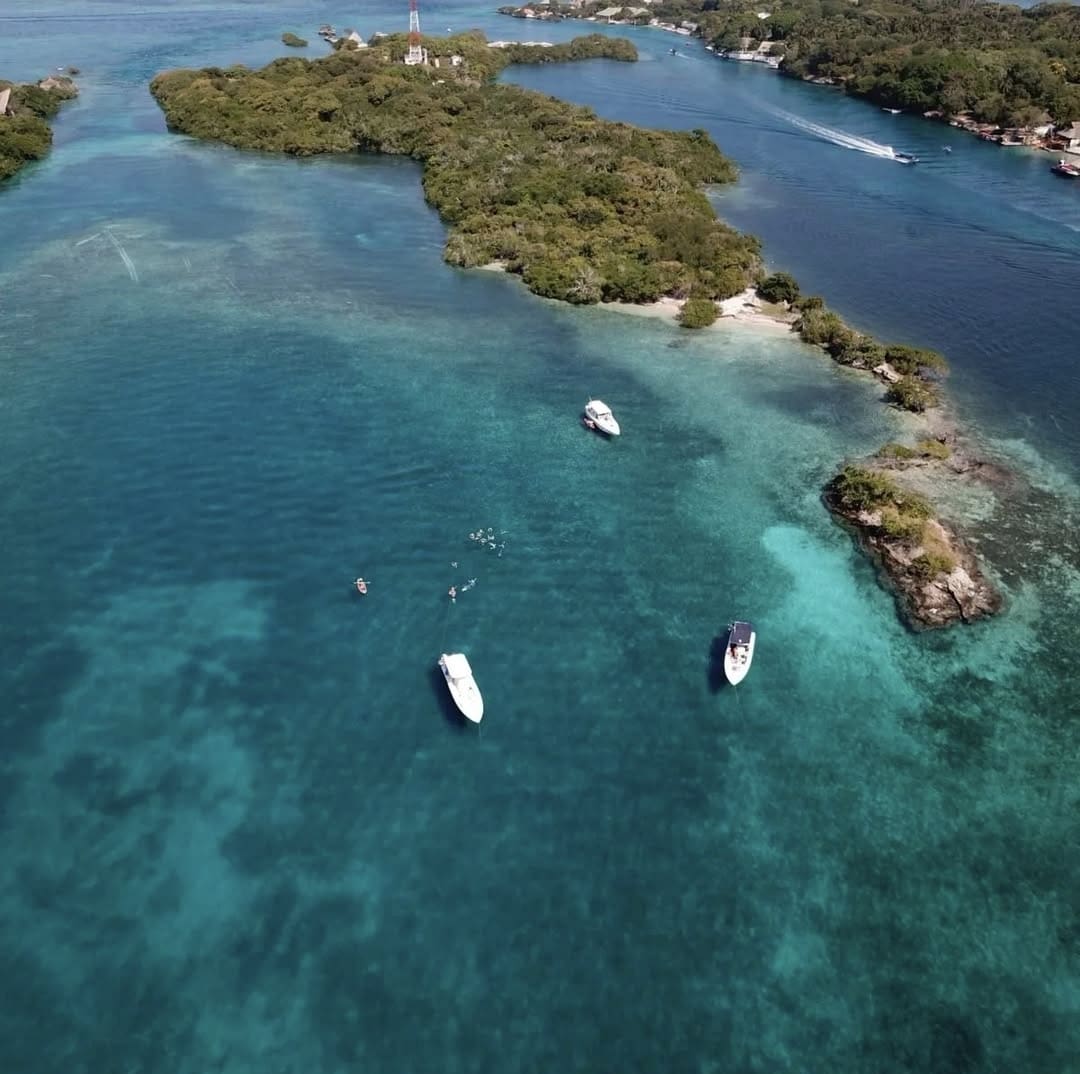 screenshot 20250323 124127 instagram